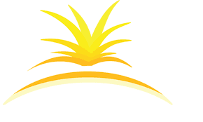 Sparked Host: Affordable Minecraft Server Hosting .